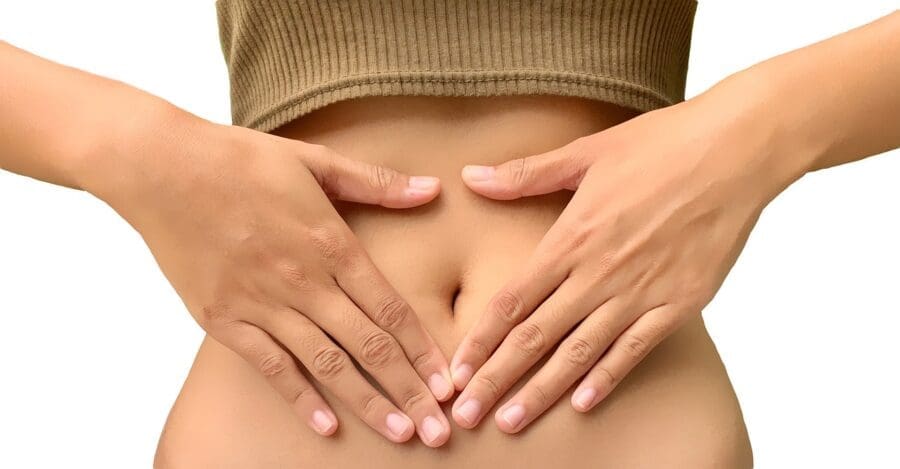gut health supplements for digestion