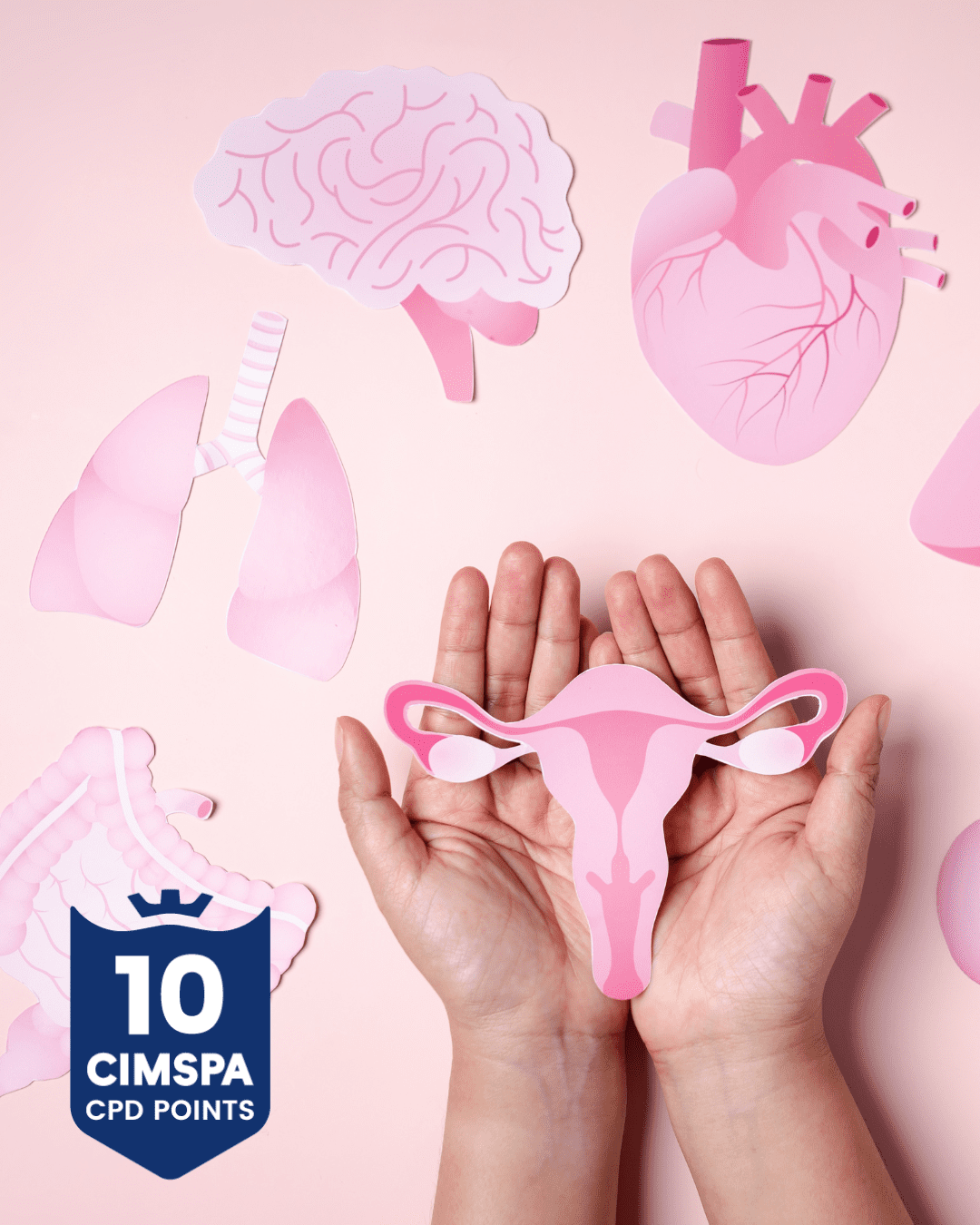 menstrual cycle and exercise course image 1