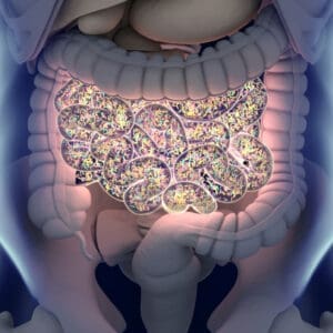 The Gut Microbiome and Human Health CPD Course