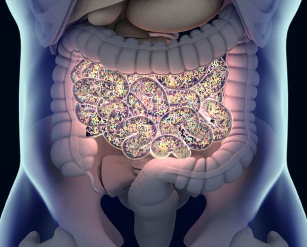 The Gut Microbiome and Human Health CPD Course